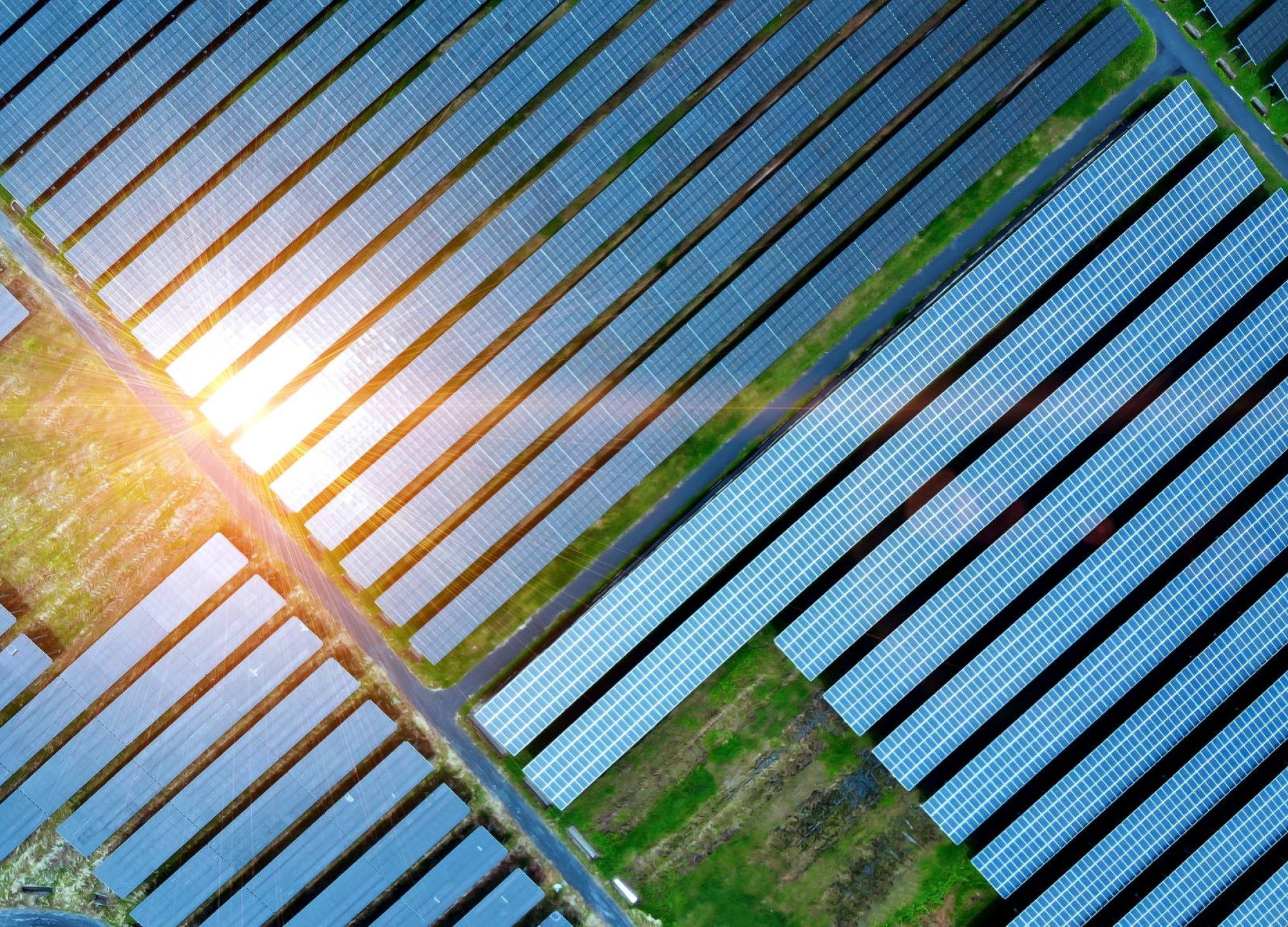 A solar farm is an application of the field of Engineering & Technology