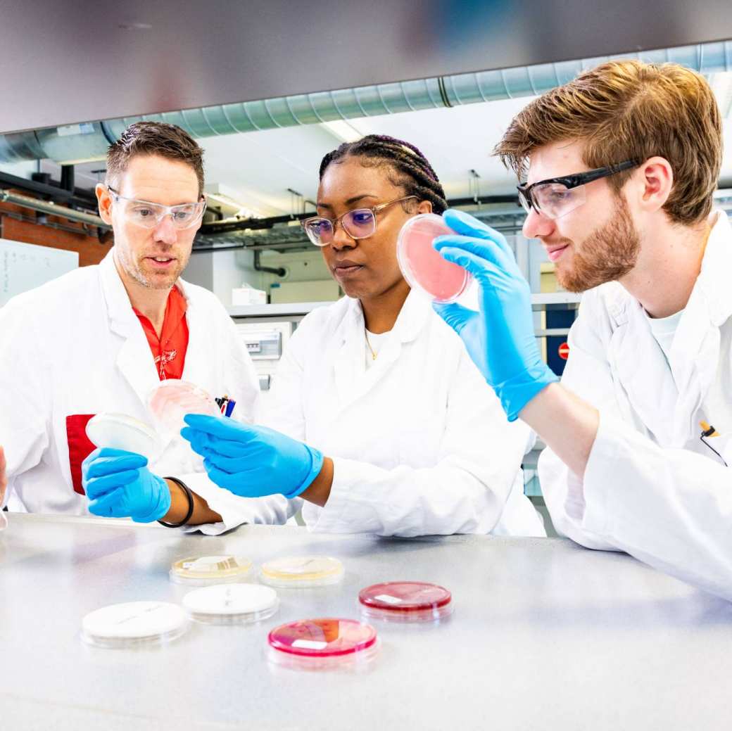 Docent en studenten vergelijken petrischaaltjes