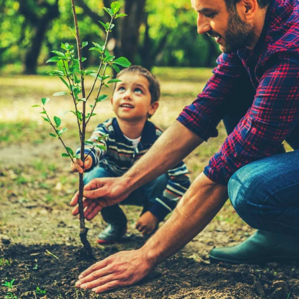 Foto van man en kind die samen een boom planten