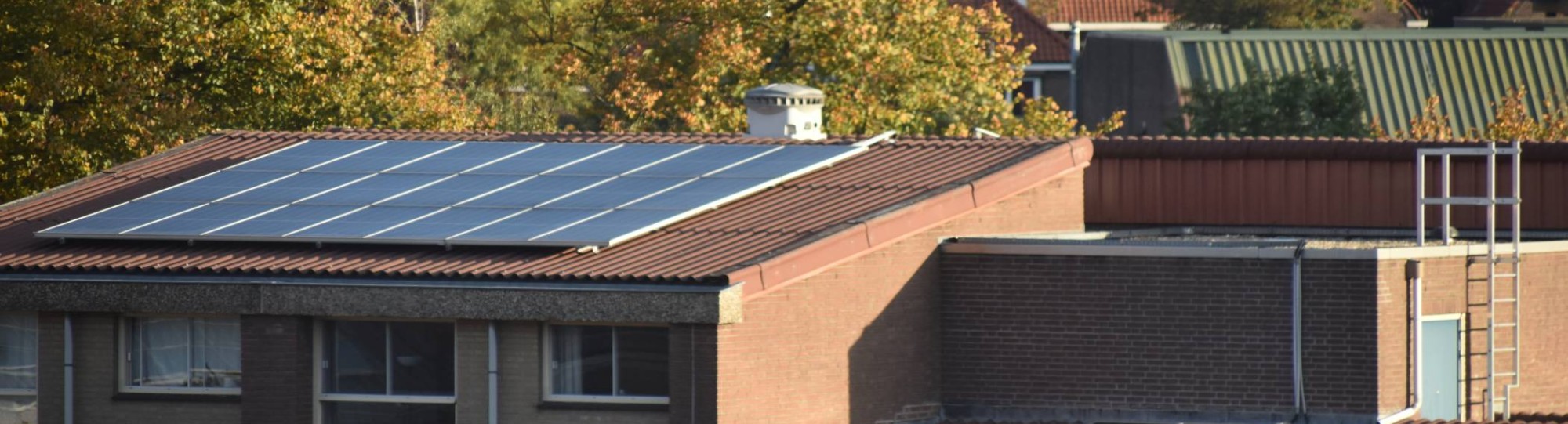 Een foto van zonnepanelen op daken in Nederland.