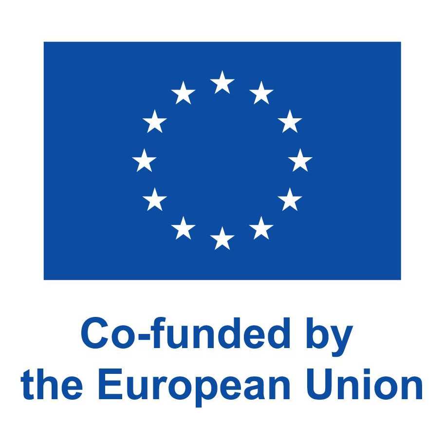 logo Co-funded by the European Union, blauw vlak met daarin een rondje van witte sterren