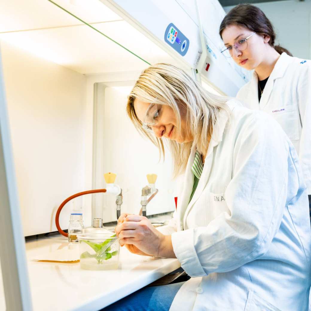 Docent en student bekijken een plantje