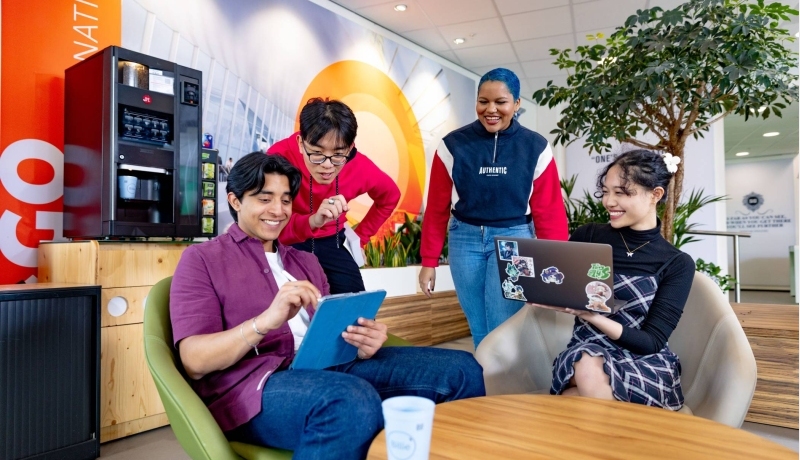 Dutch Higher Education System