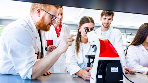 Studenten werken met de microscoop