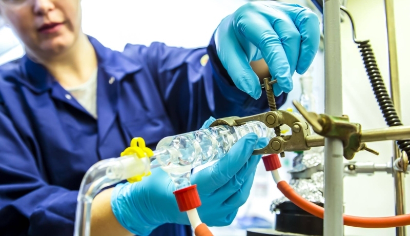 Full program of the English-taught Molecular Biosciences Bachelor at HAN University of Applied Sciences in the Netherlands